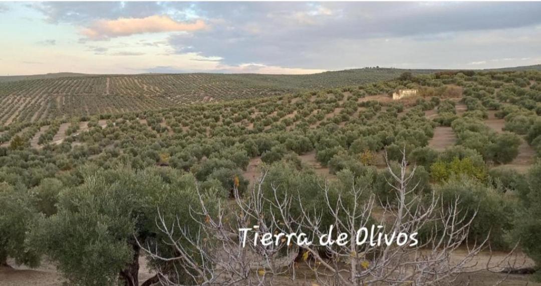 Alojamiento Vival Pineda Baeza Exteriör bild